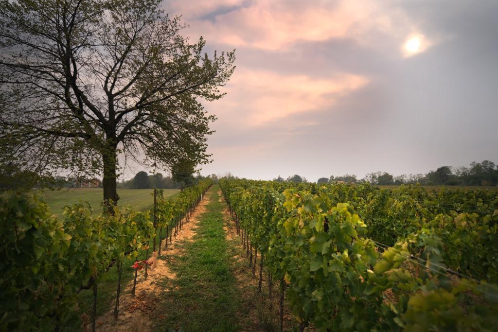 strada-colli-dei-longobardi-brixiawine-homepage