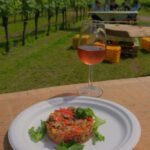 colli-dei-longobardi-archivio-news-scoperta-montenetto-imm2