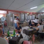 colli-dei-longobardi-archivio-news-scoperta-montenetto-imm5