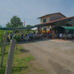 colli-dei-longobardi-archivio-news-scoperta-montenetto-imm8